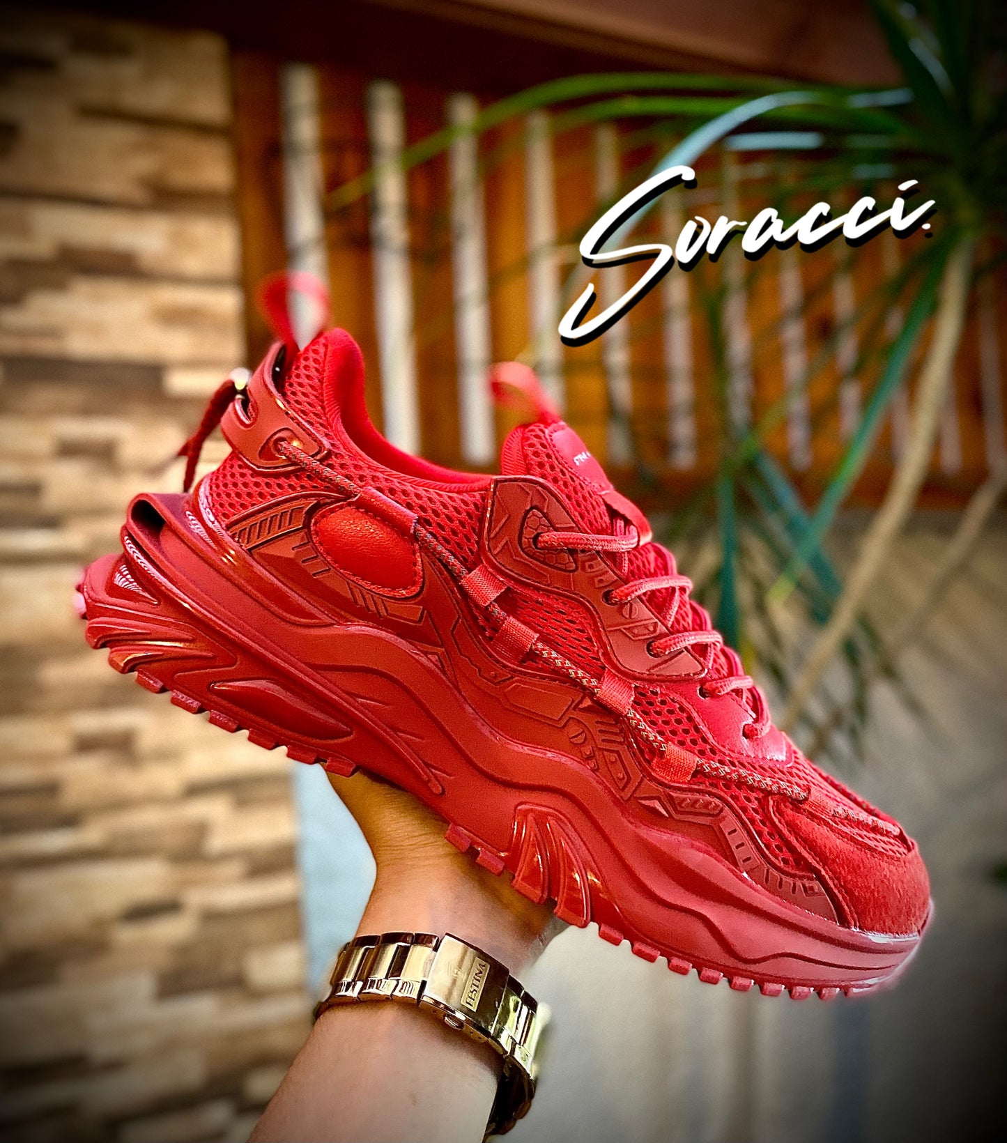 Zapatillas STEVE MADDEN