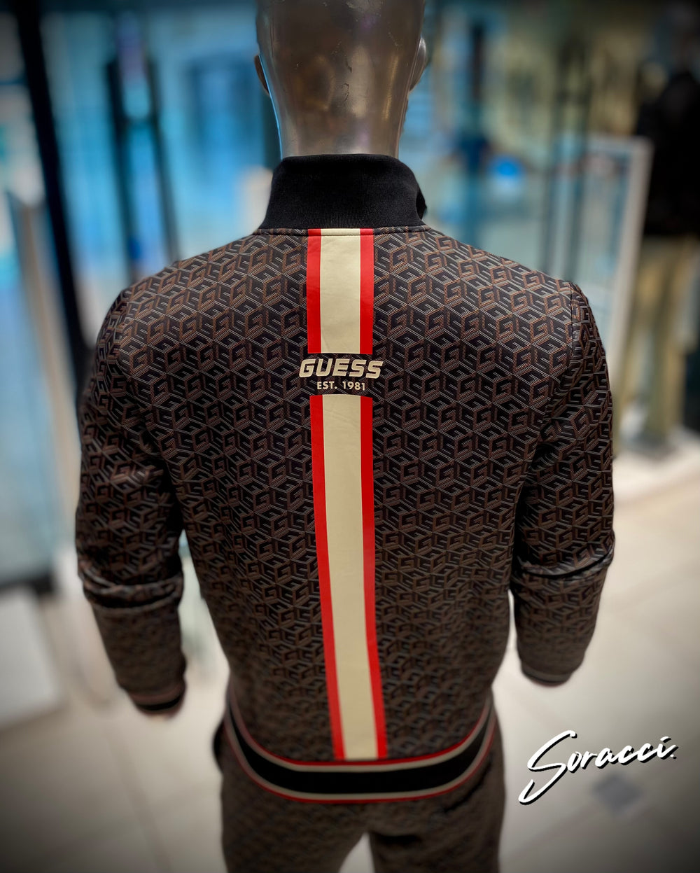 Conjunto GUESS